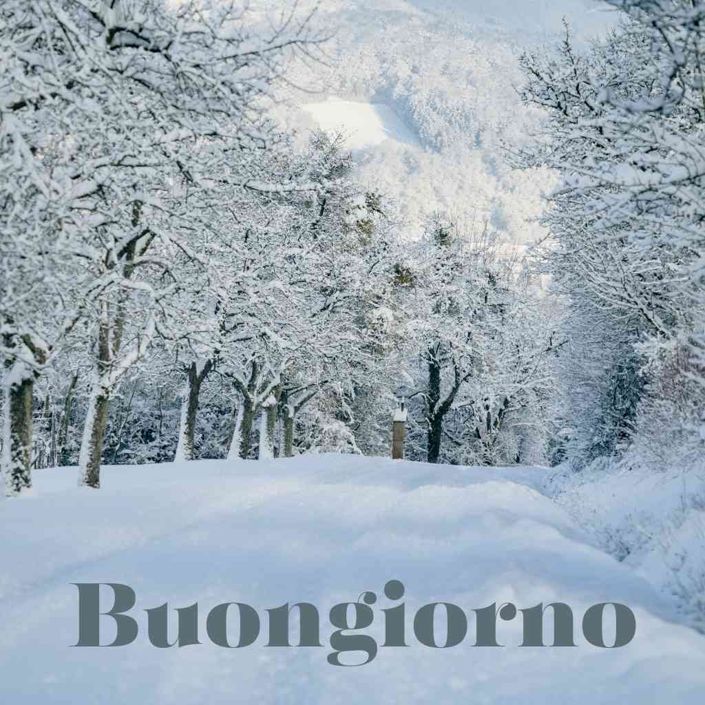 Buongiorno Freddo Immagini