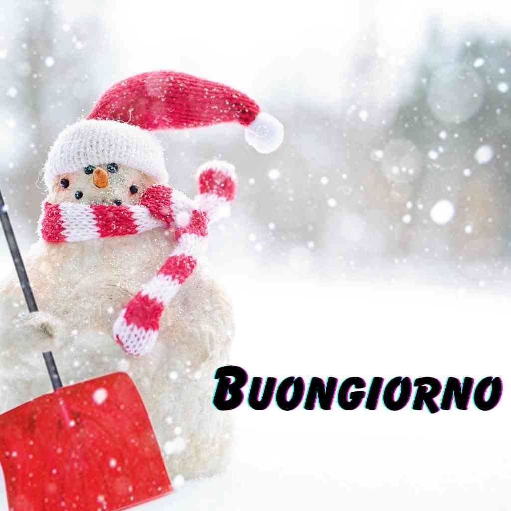 Buongiorno freddoloso hd