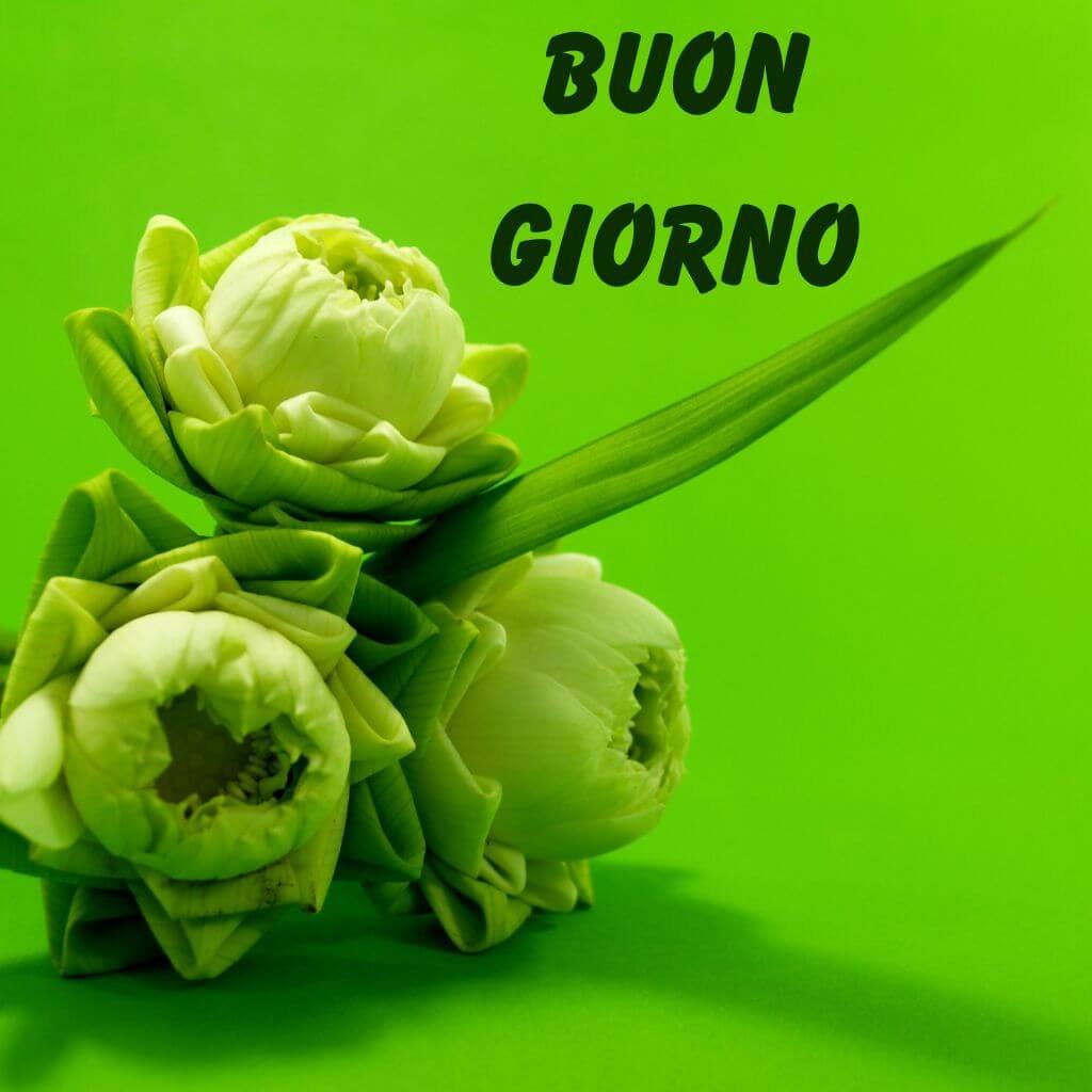 Immagini Buongiorno