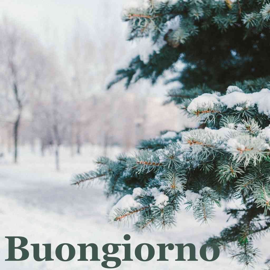 buongiorno freddoloso immagini nuove
