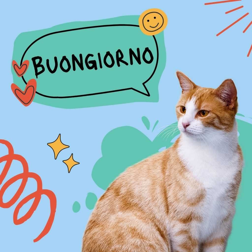 Buongiorno Divertente