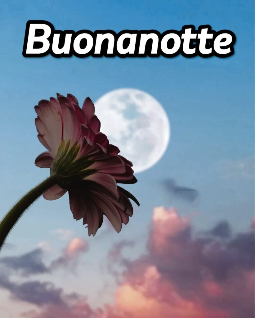 Augurando It Buonanotte Originalissima