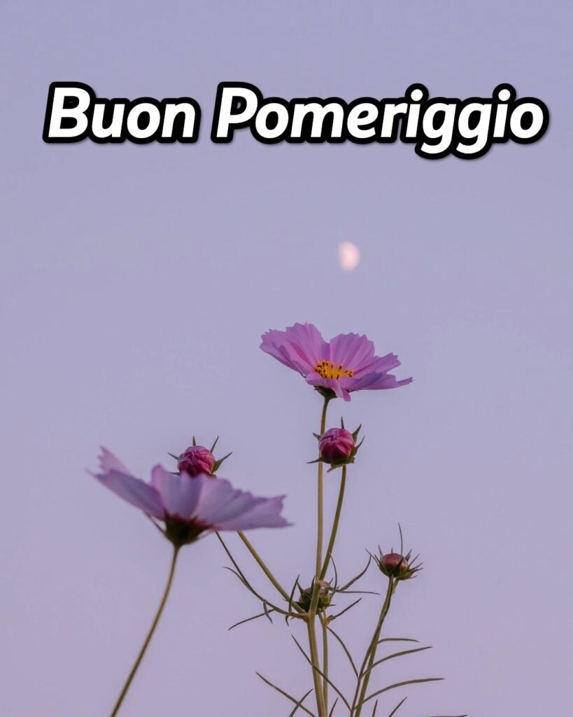 Buon Pomeriggio Autunnale