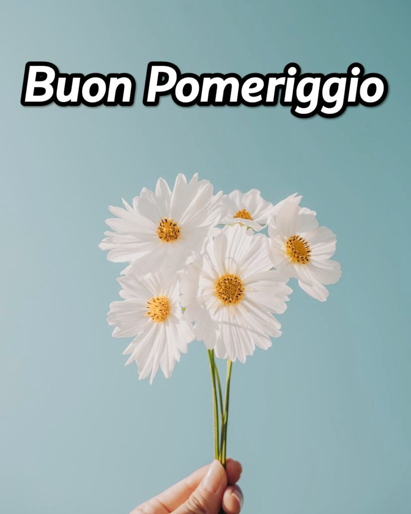 Buon Pomeriggio Gif