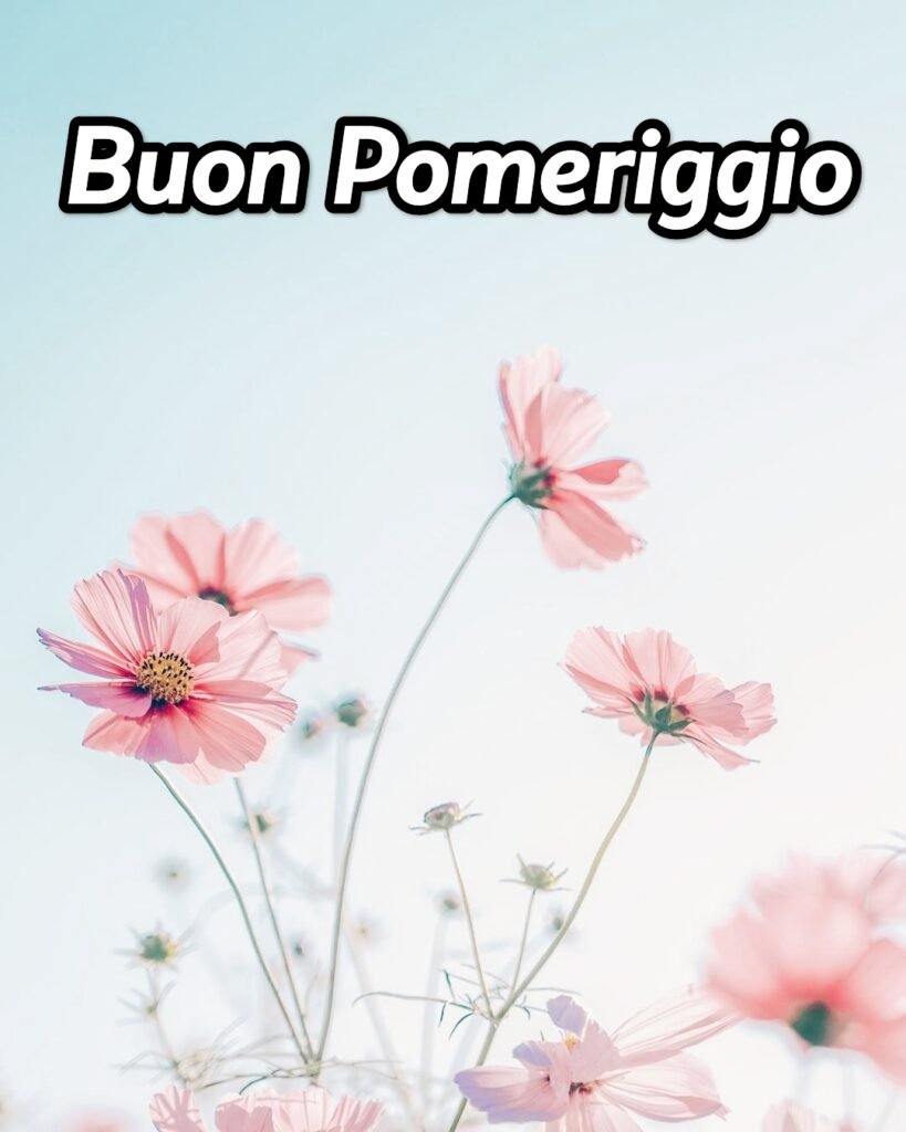 Buon Pomeriggio Immagini Belle