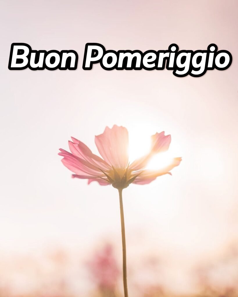 Buon Pomeriggio Immagini Belle Gratis