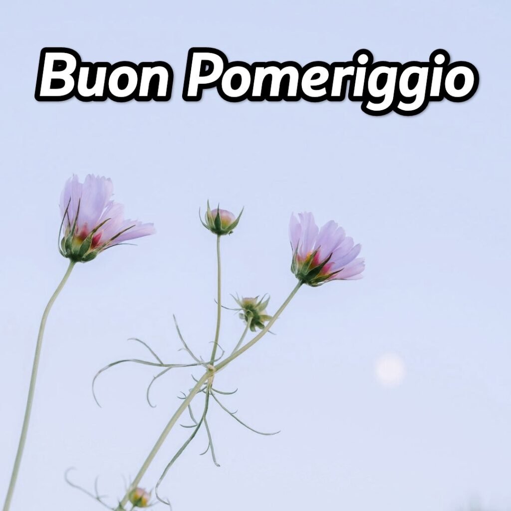 Buon Pomeriggio Immagini Gratis
