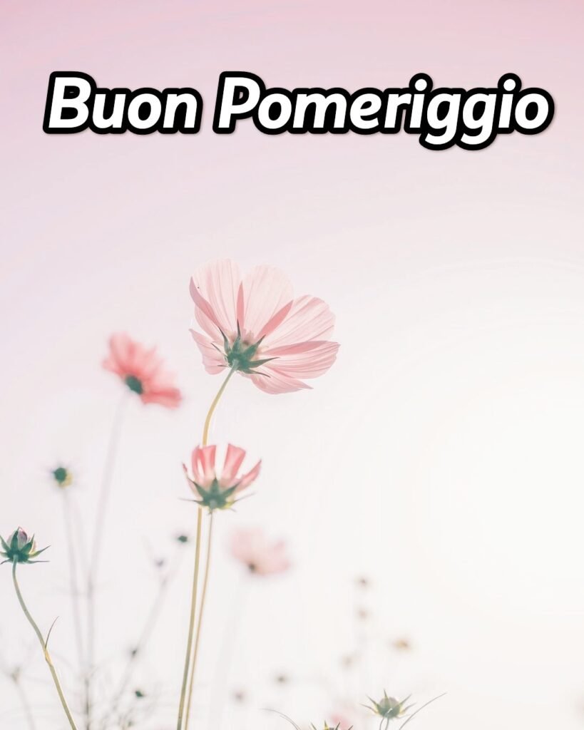 Buon Pomeriggio Immagini Gratis Per Whatsapp