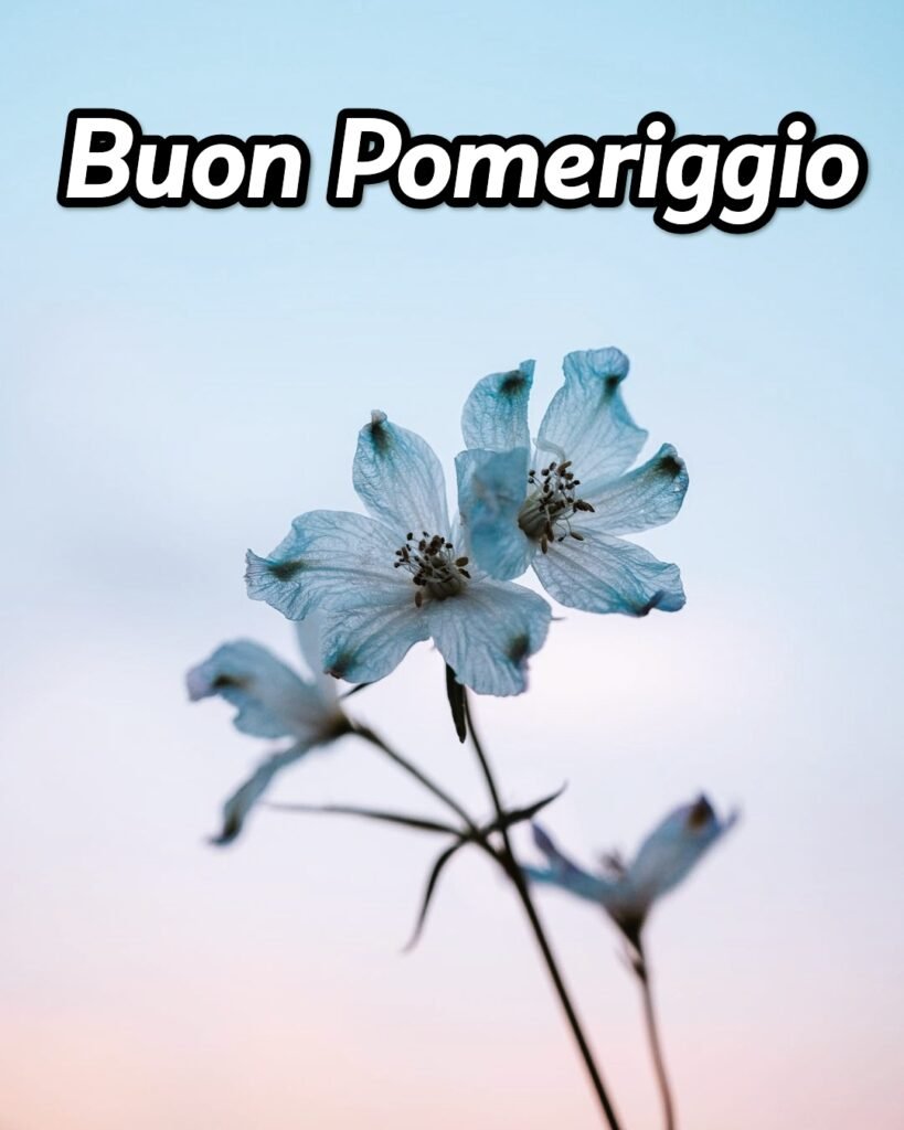 Buon Pomeriggio Immagini Nuove 2024