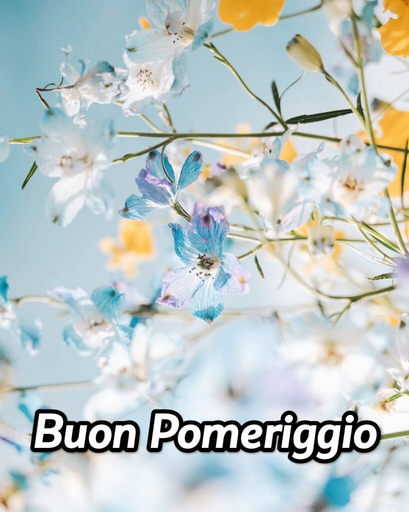 Buon Pomeriggio Immagini Nuove Gratis