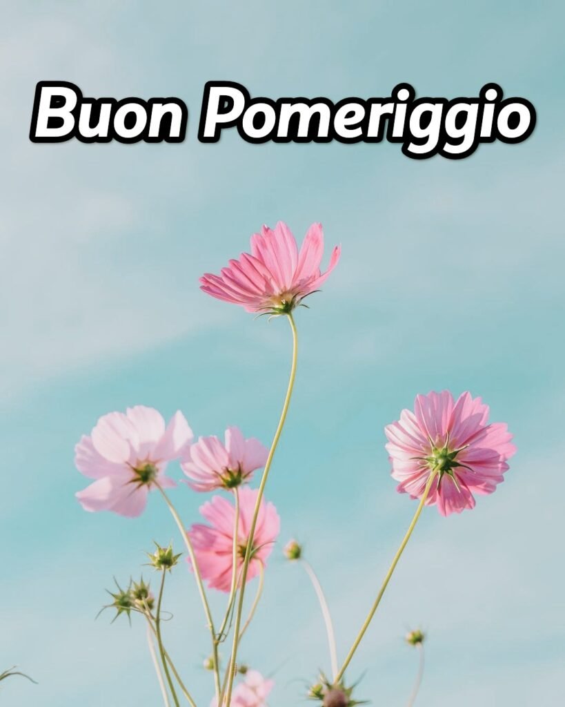 Buon Pomeriggio Immagini Simpatiche
