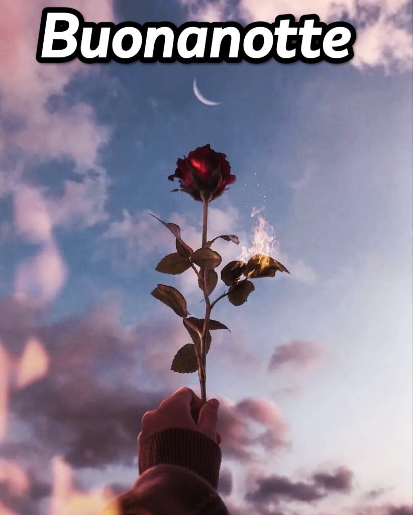 Buonanotte Originalissima Divertenti