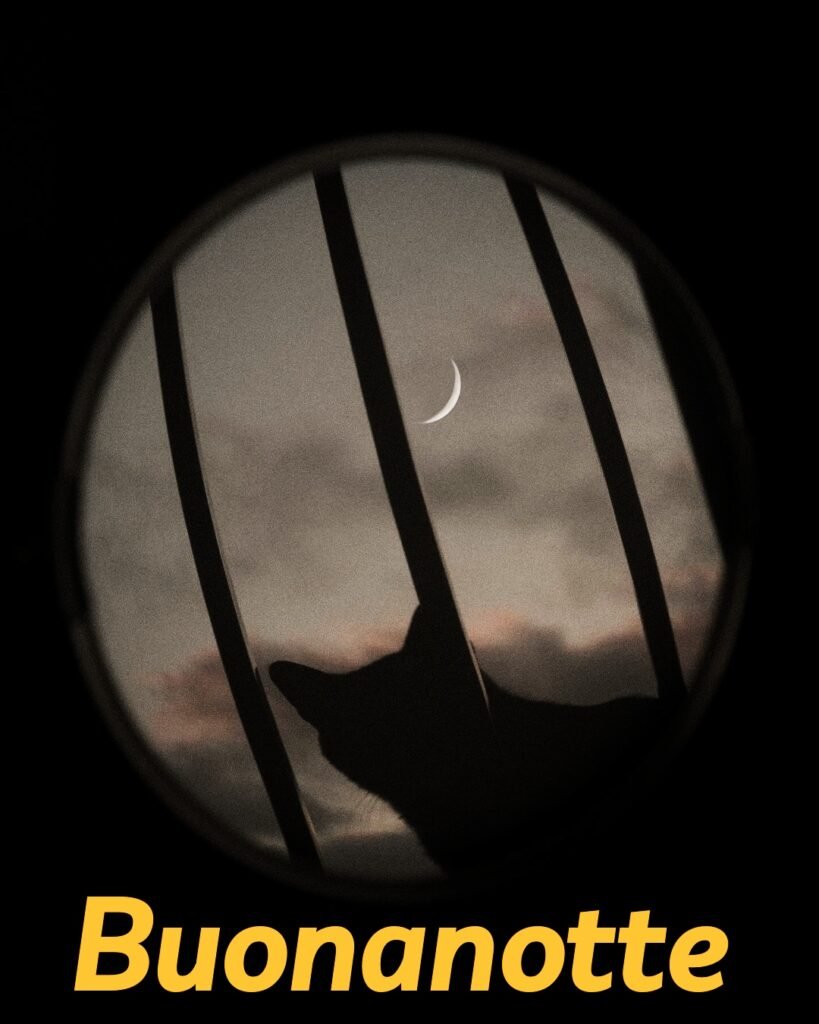 Buonanotte Originalissima Frasi Divertenti