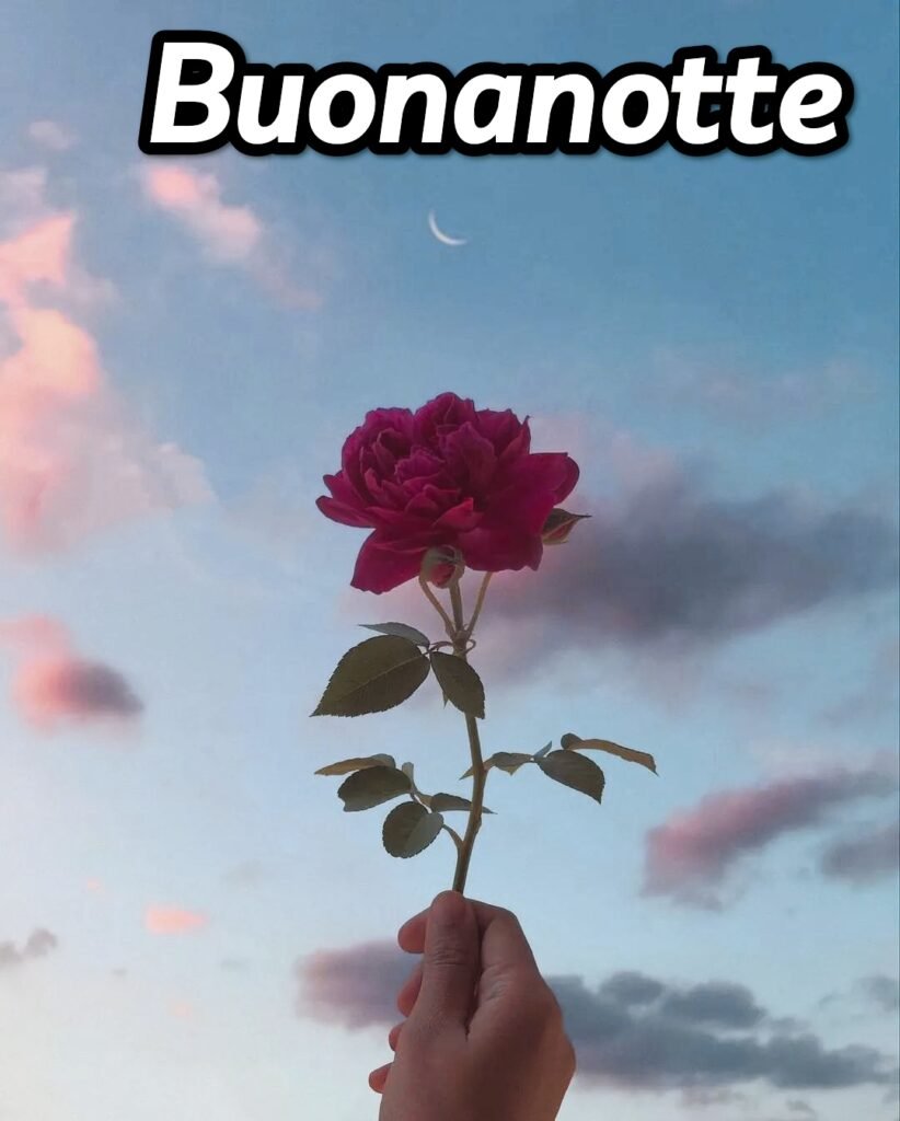 Buonanotte Originalissima Immagini Nuove