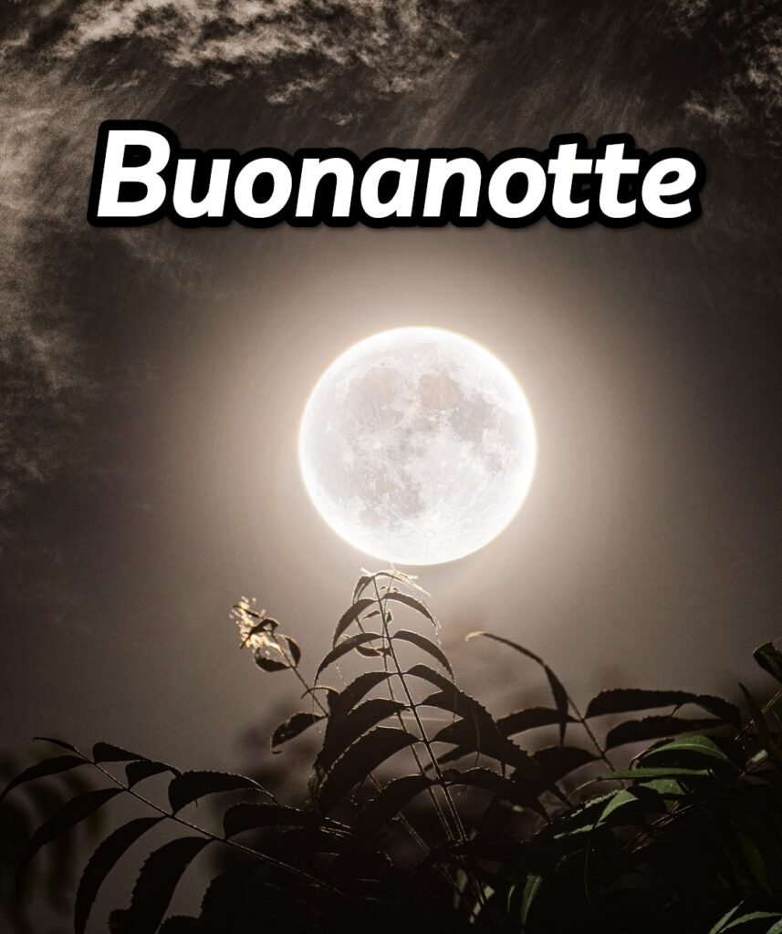 Buonanotte Originalissima Snoopy