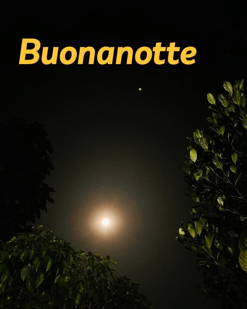 Buonanotte Originalissima Whatsapp Gratis Italiano