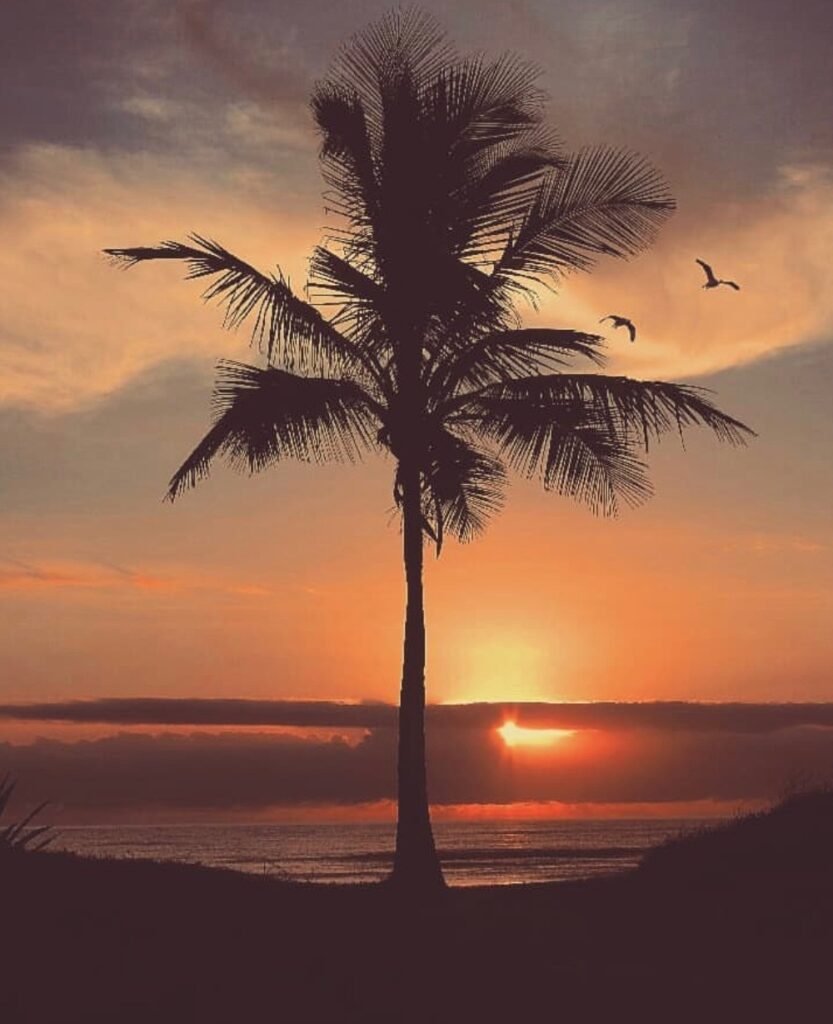 Foto Tramonto