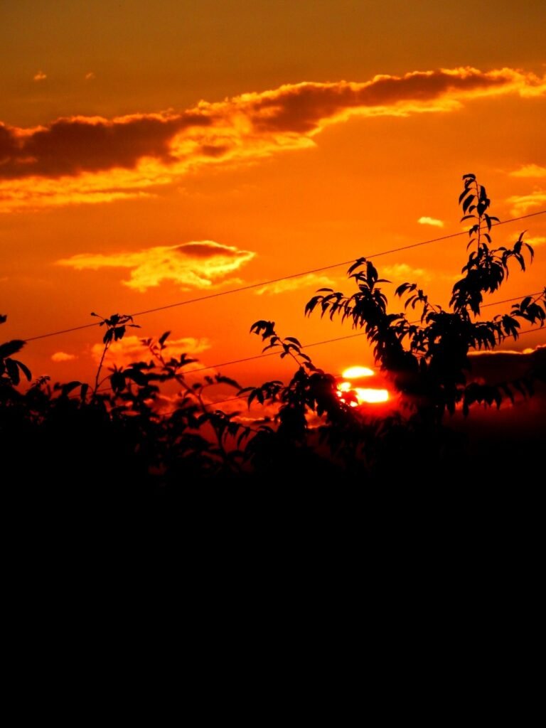 Foto Tramonto