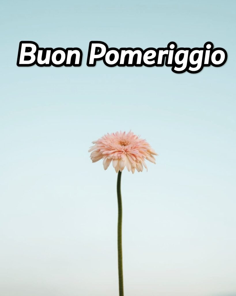 Immagini Buon Pomeriggio Da Scaricare Gratis