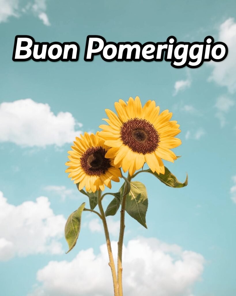 Immagini Buon Pomeriggio Per Whatsapp