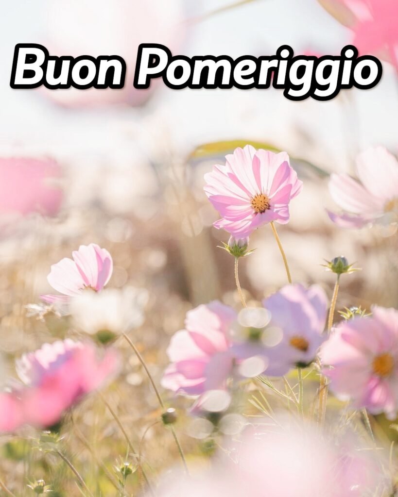 Immagini Di Buon Pomeriggio