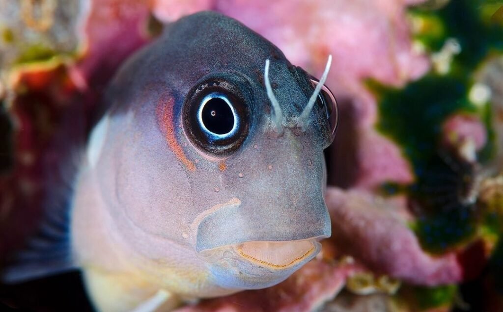 Sfondo Mare