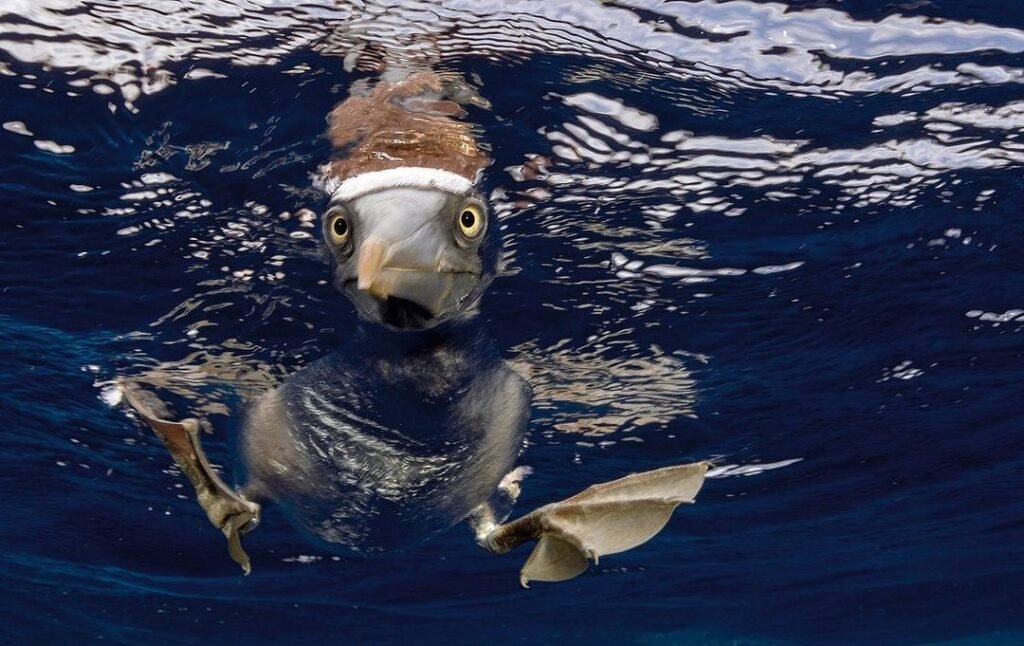 Sfondo Mare