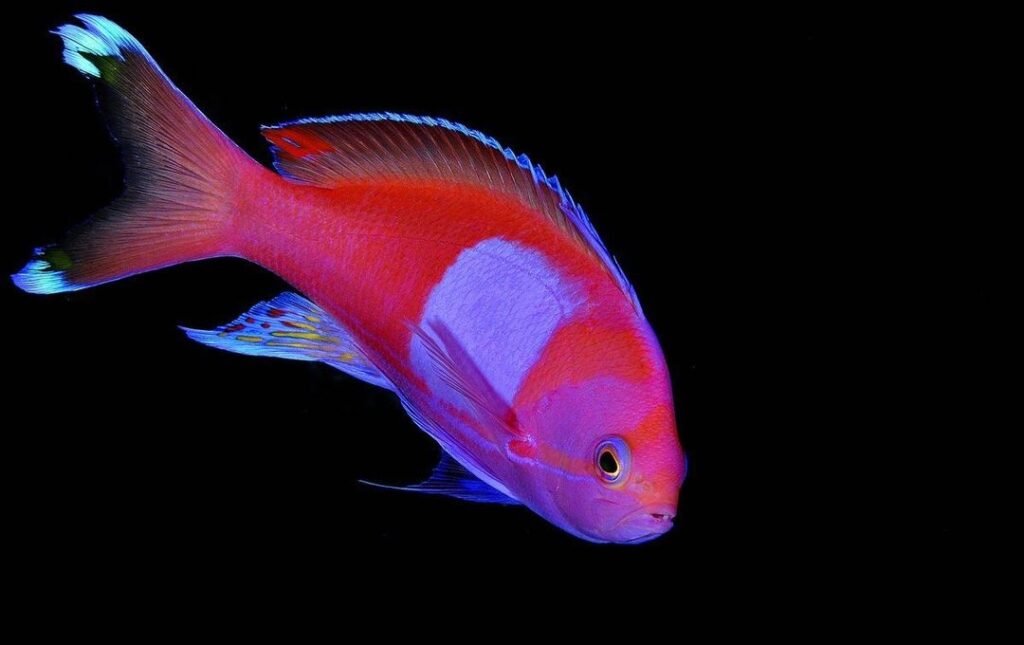 Sfondo Mare