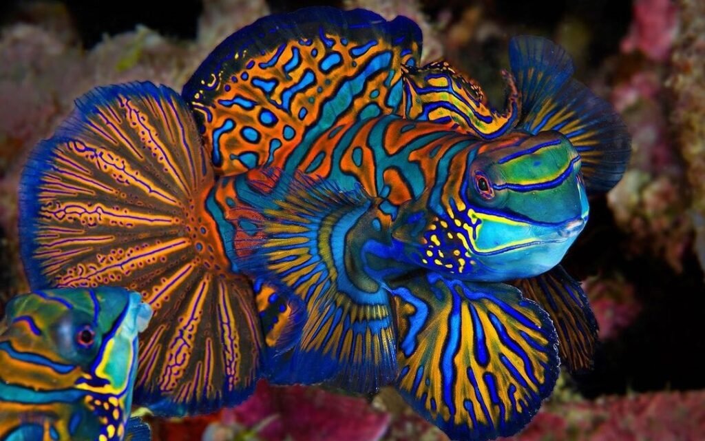 Sfondo Mare