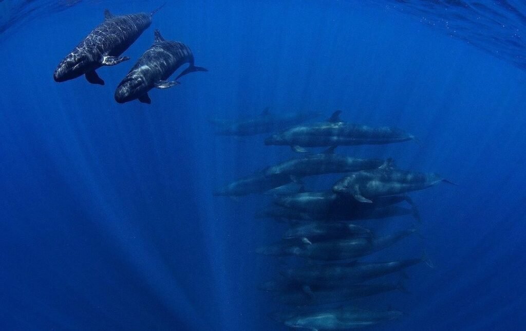 Sfondo Mare
