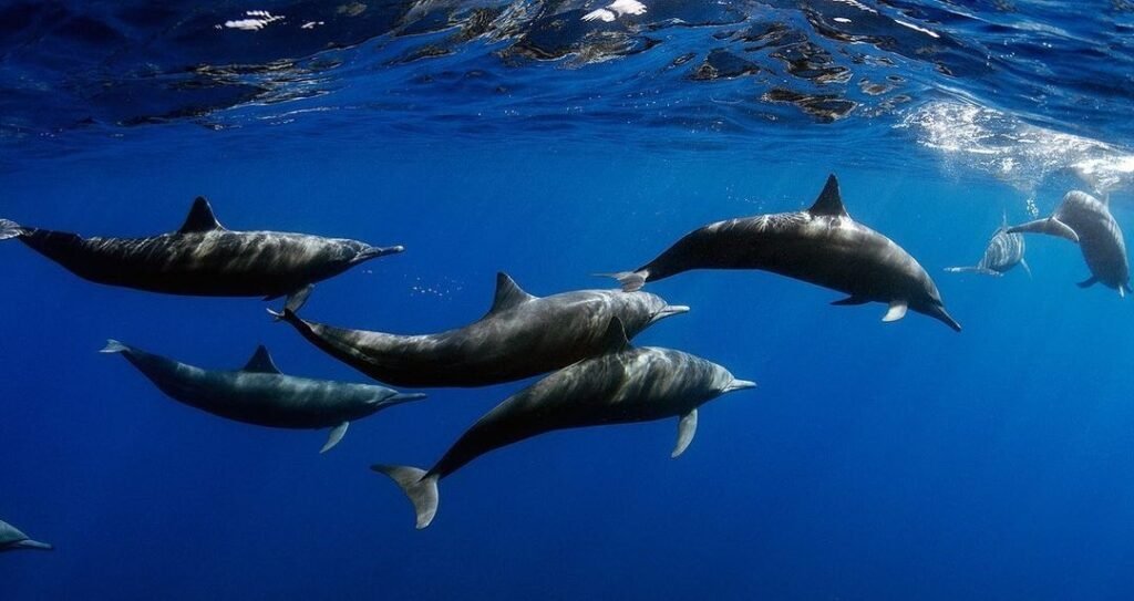 Sfondo Mare
