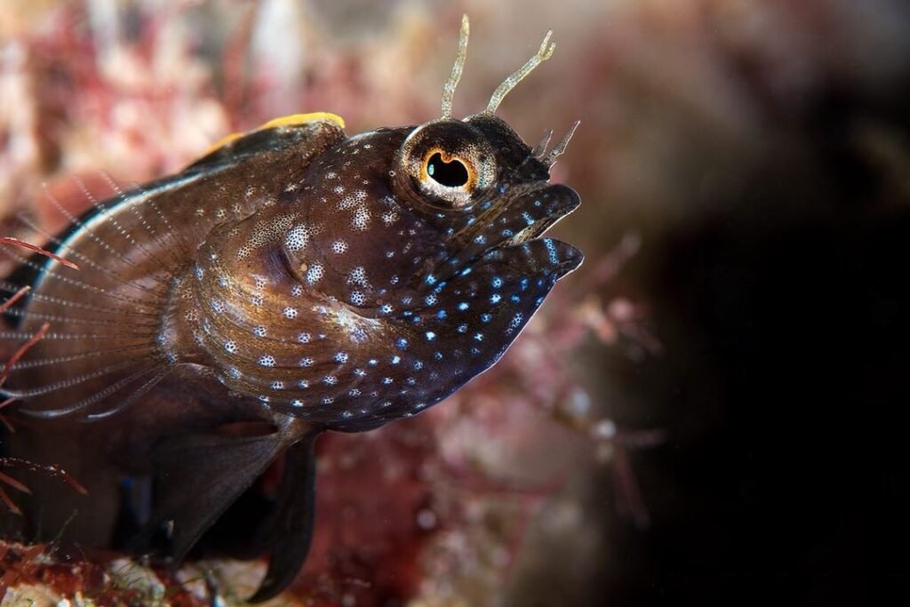 Sfondo Mare
