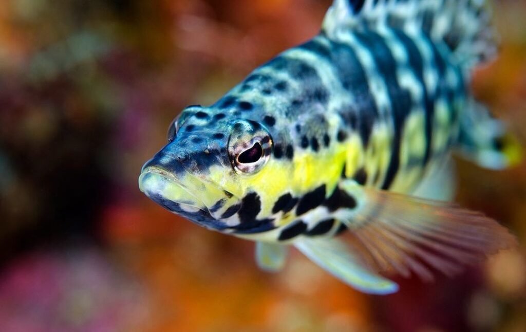 Sfondo Mare