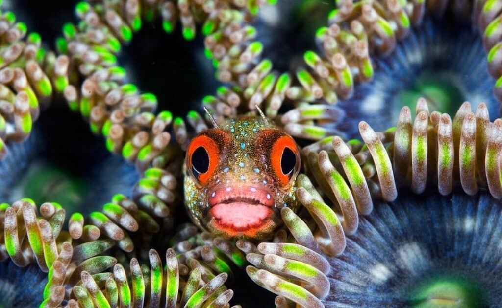 Sfondo Mare