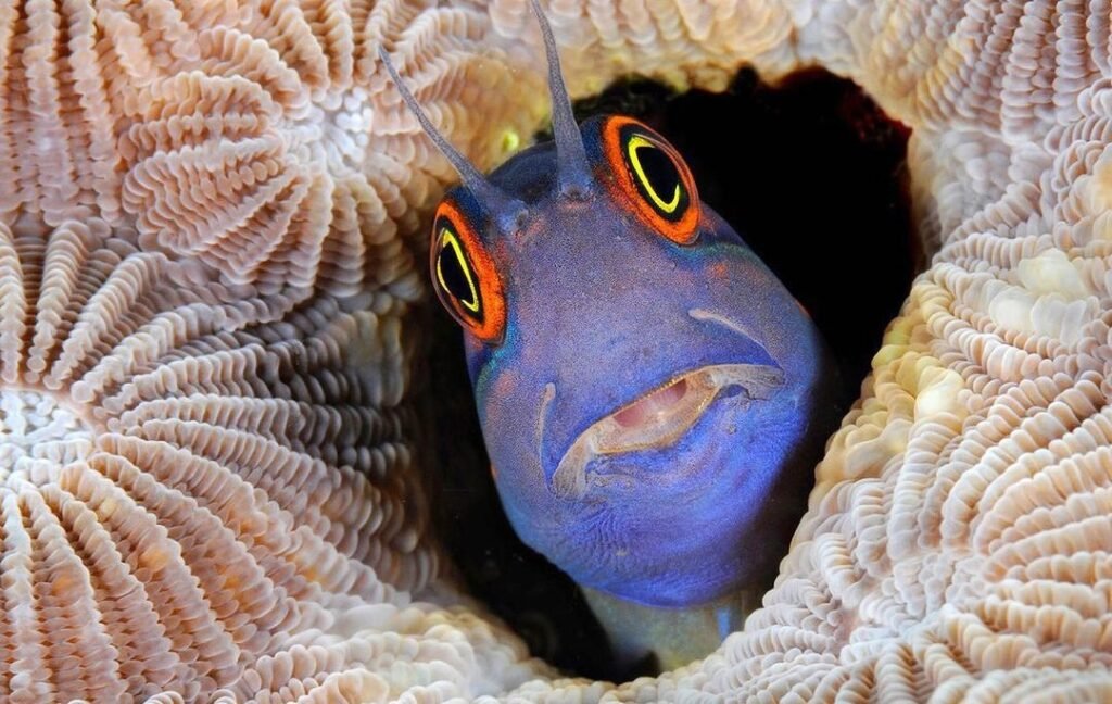 Sfondo Mare