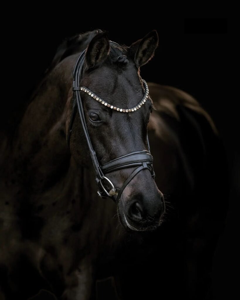 Sfondo Nero