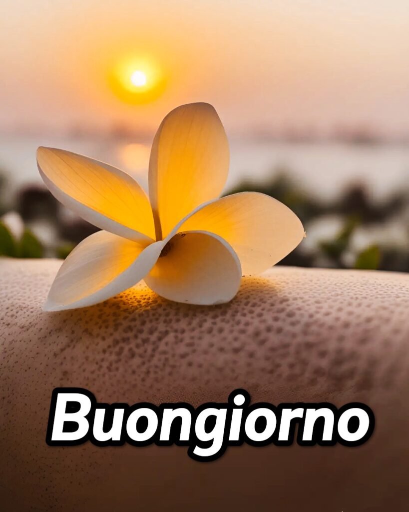 100 Immagini Buongiorno Gif Nuove Gratis