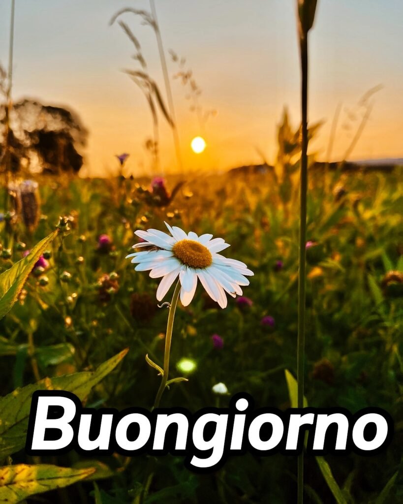 Immagini Buongiorno Frizzante Divertenti