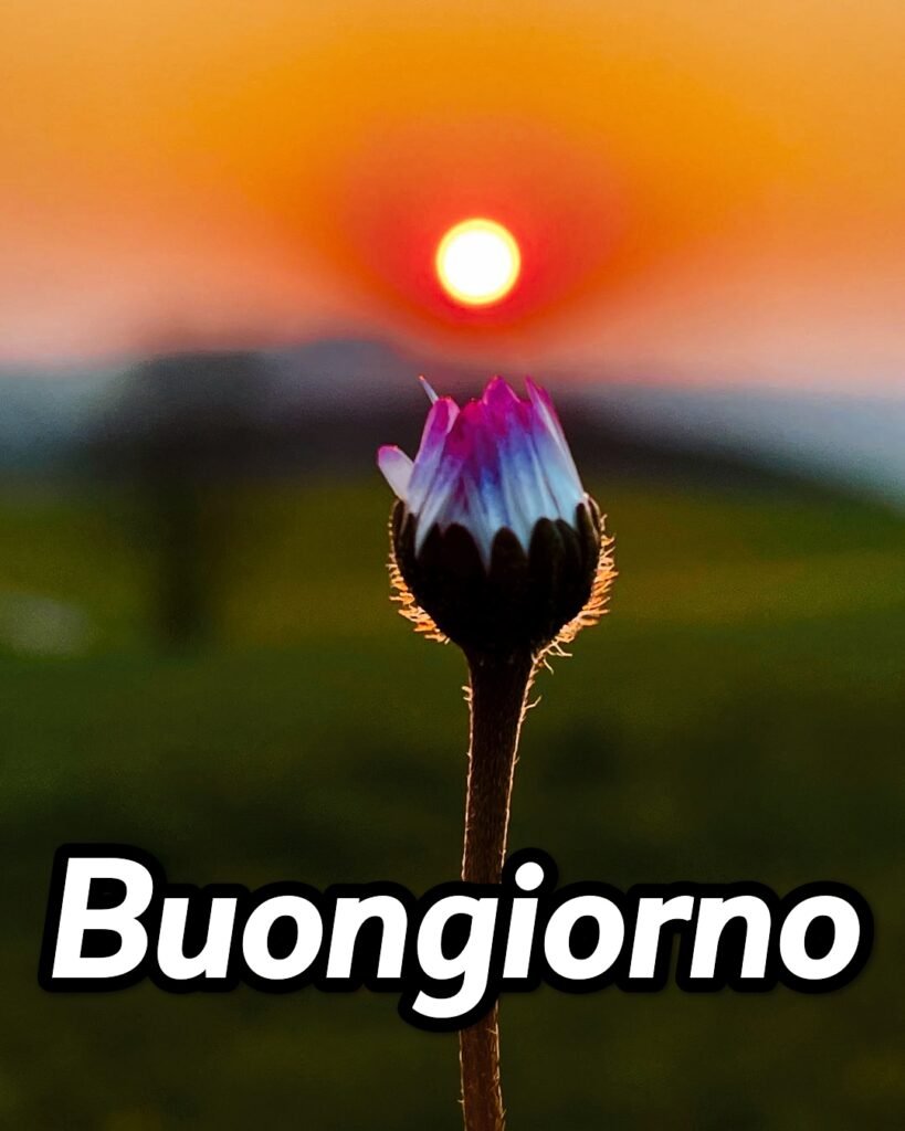 Immagini Buongiorno Frizzante Gratis